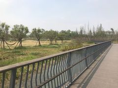 -三圣花乡旅游区