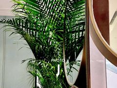 大堂-玫瑰厅上海菜(兴国路店)