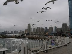 -星海广场