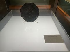 -衢州市博物馆