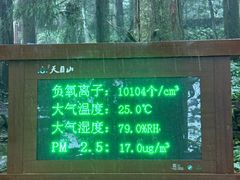 -天目山大树王景区
