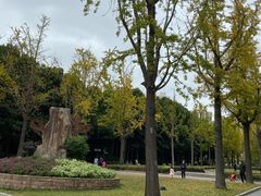 -苏州河梦清园环保主题公园