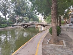 -团结湖公园