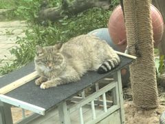 -青藏高原野生动物园