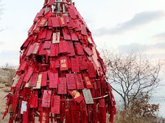 -莲花山观景台