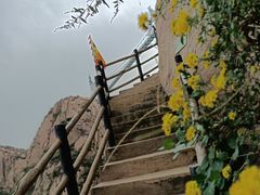 -黄金寨原生态旅游区