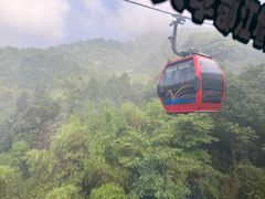-青城山