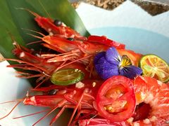 -Hi City·城市之巅