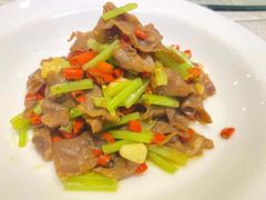 -国力仁和(凤城三路店)