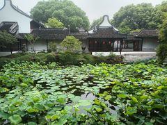 -上海醉白池公园