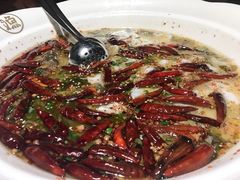 -首秀·四川料理(星耀101店)