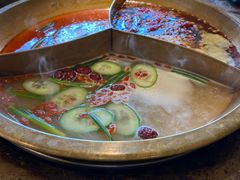 -Xiao Long Kan Hotpot Sydney 小龙坎老火锅
