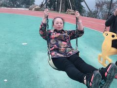 -铁山坪森林公园