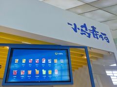 -春丽小马(济南恒隆广场店)