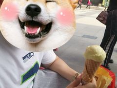 -成裕雪糕店(士多店)