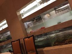 -半岛海鲜酒家