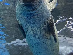 -上海海洋水族馆