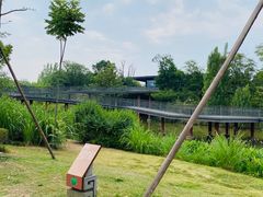 -白鹭湾湿地公园