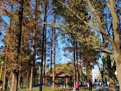 -宁波儿童公园(鄞州区)