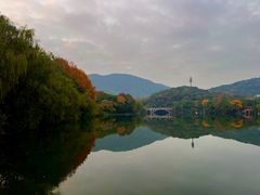 -杭州半山国家森林公园