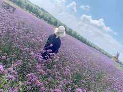 -北纬44度·金珠花海休闲农业旅游景区