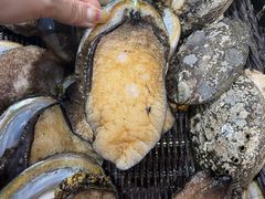 -开海·红岛海鲜虾水饺(石老人店)