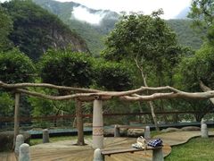 -太鲁阁公园