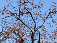 -清漾毛氏文化村