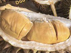 -槟城宝盛园民宿