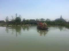 -荷兰花海