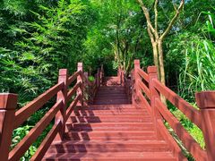 -广州白江湖森林公园