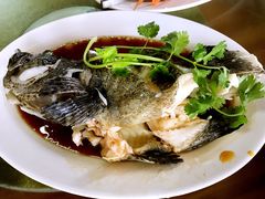 -岛中岛·海鲜大排档·万宁老字号(东澳店)