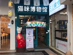 门面-猫咪博物馆(顶澳仔猫街店)