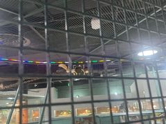 -上海大自然野生昆虫馆(东方明珠·爬宠昆虫探索中心)