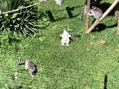 -大连森林动物园