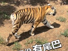 -龙口动植物园
