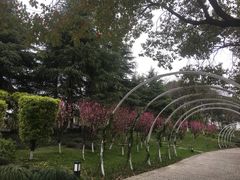 -日出青木·杭帮菜名店