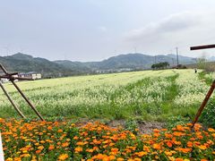 -绍兴古城