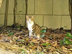 -新田360广场(上海华侨城店)