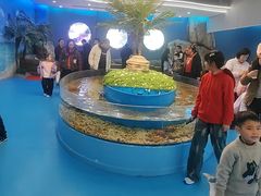 -苏州海洋馆