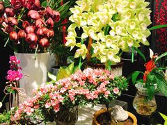 -Olé精品超市(北京合生汇店)