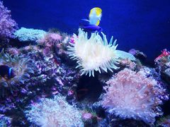 -成都浩海立方海洋公园