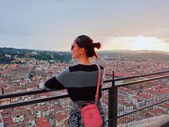 -圣母百花大教堂穹顶