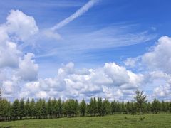 -塞罕坝国家级自然保护区