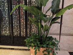 -洛阳宴·洛阳菜(南昌路店)