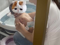 -爱的果实月嫂育婴师(世纪东方店)