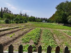 -前小桔亲子创意农场·草莓采摘·露营烧烤