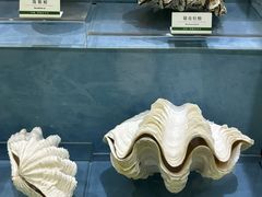 -浙江自然博物院(杭州馆)