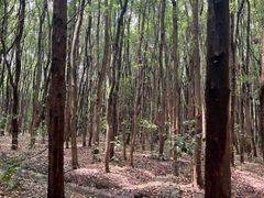 -同里国家湿地公园