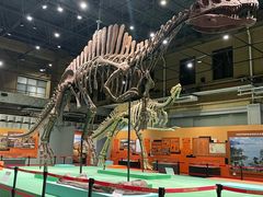 -国家自然博物馆